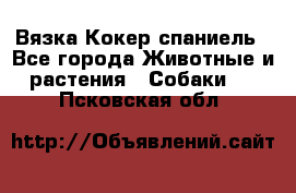 Вязка Кокер спаниель - Все города Животные и растения » Собаки   . Псковская обл.